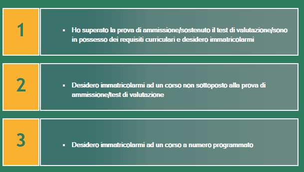 immatricolazione4